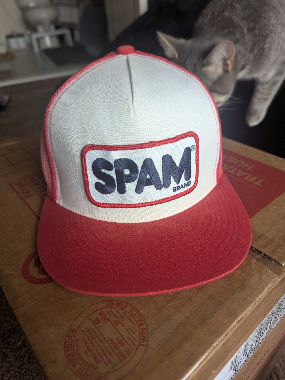 SPAM Trucker Cap
